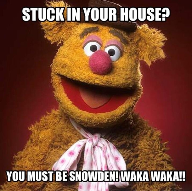 Fozzy Bear cheering up the Northeast