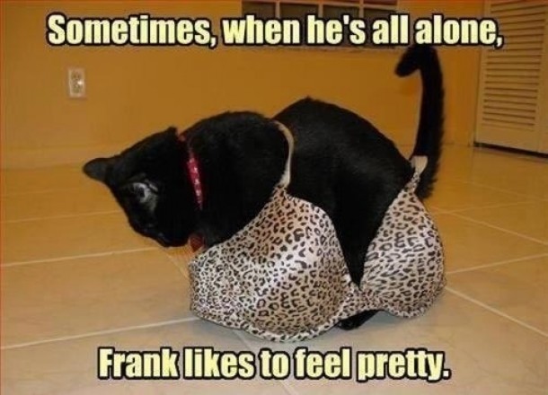 Frank is a pretty girl