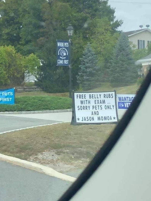 Free belly rubs