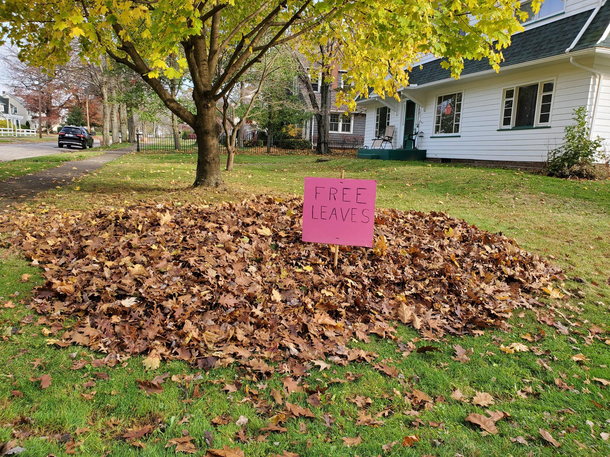 Free leaves