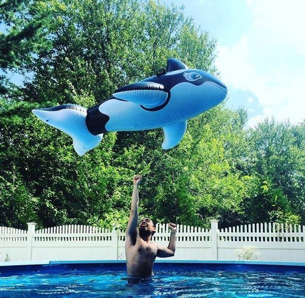 Free Willy on a budget