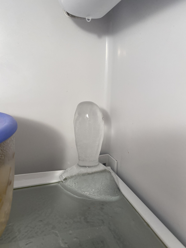 Fridge in my moms new house has a leak thats freezing had to do a double take