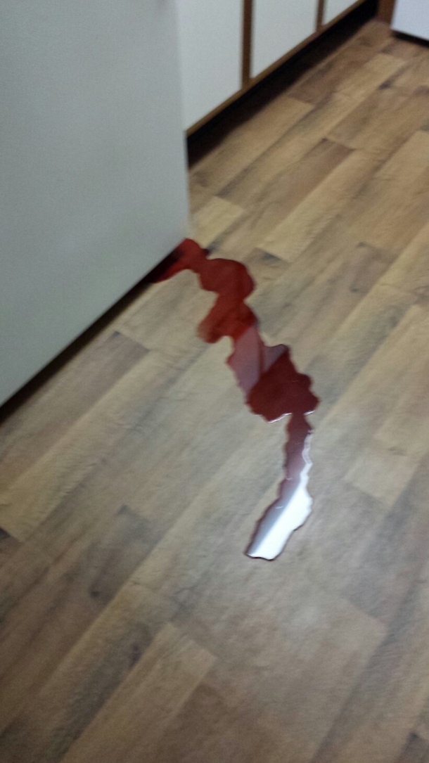 Fridge was leaking fruit juice thought I came home to an attempted murder scene