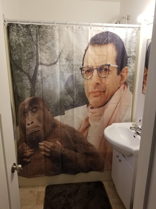 Friend bought me a new shower curtain I did not know i needed this untill i recieved it