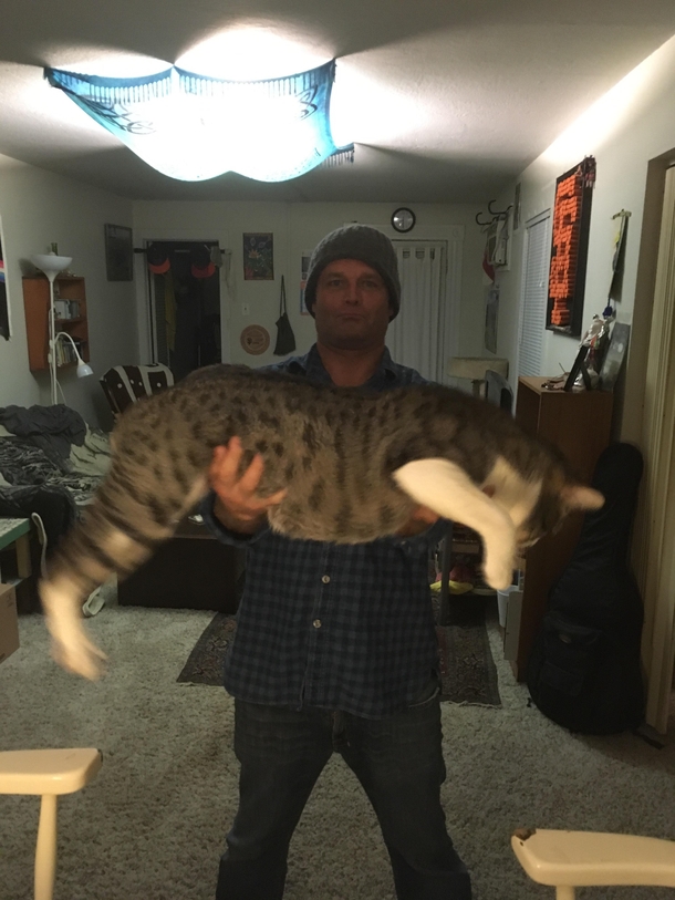 Friend caught an lb catfish