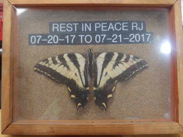 Friend found at my new job
