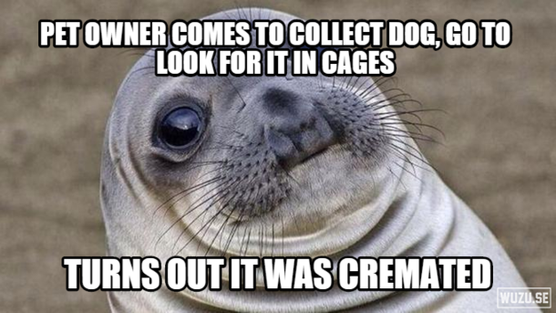 Friend is a secretary at a vets