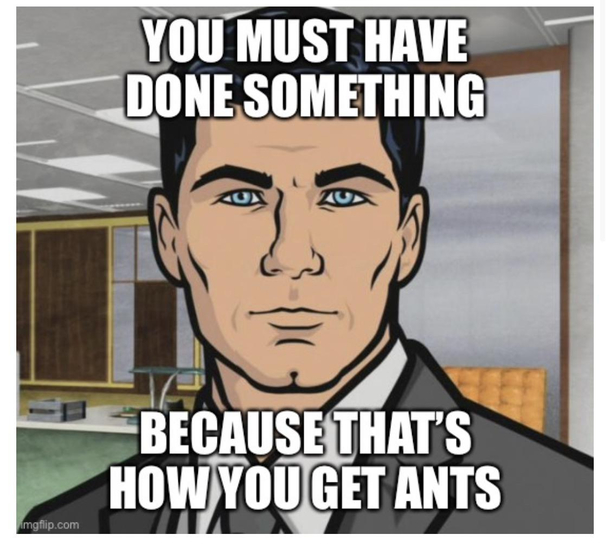 Friend is complaining she has ants I havent done anything to get ants