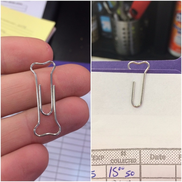 Friend works at a dog kennel Has custom boner paper clips