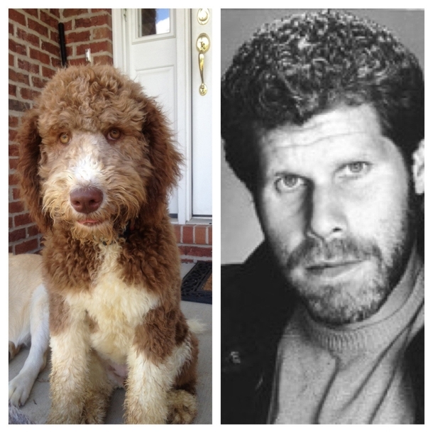 Friends dog looked a little familiar Ron Perlman