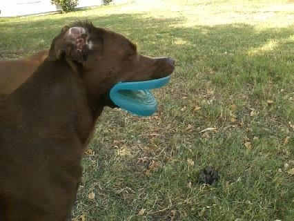 Frisbee lips