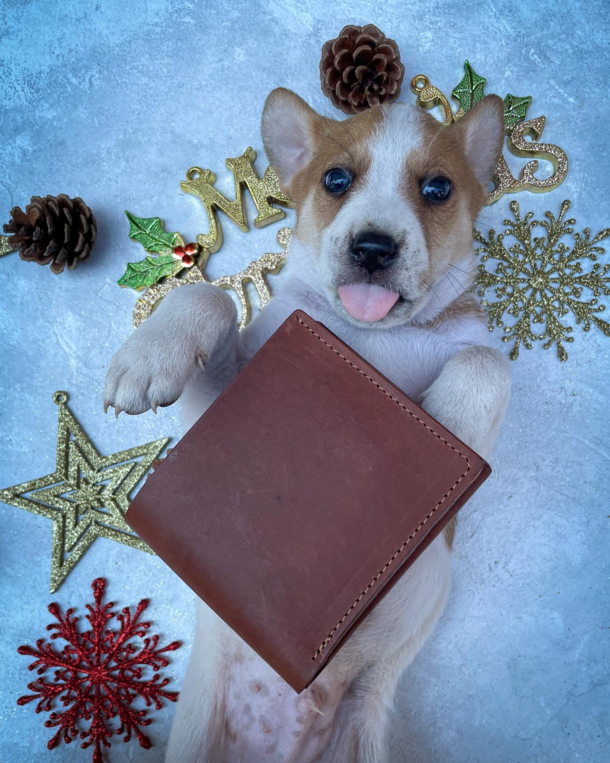 From a promotional photo shoot for a leatherware shop