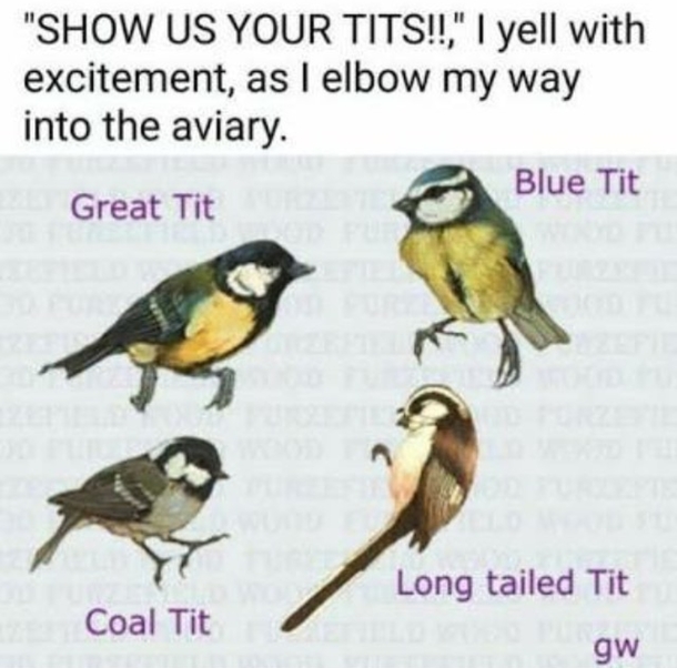From bad_science_jokes on instagram