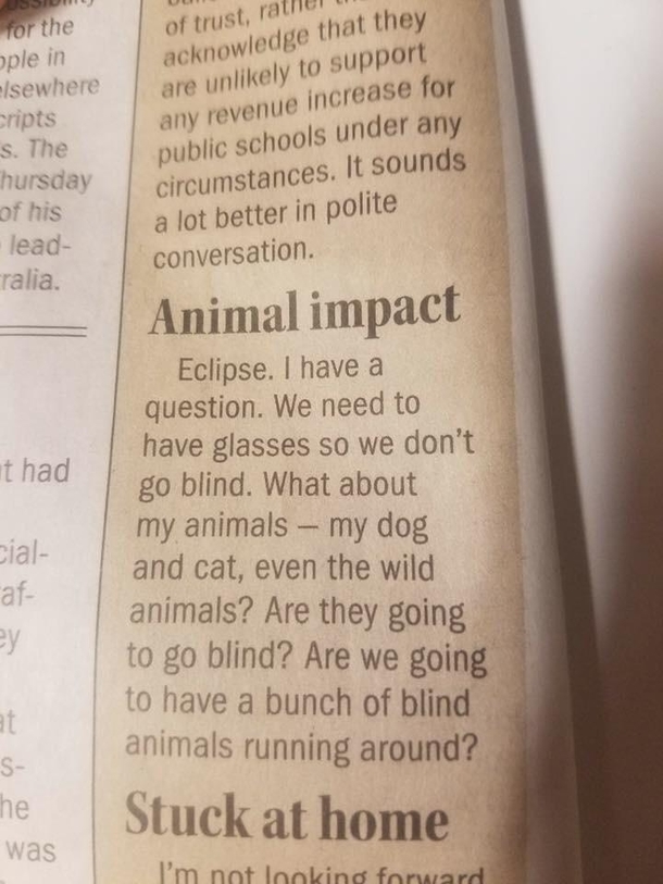 From my local news paper