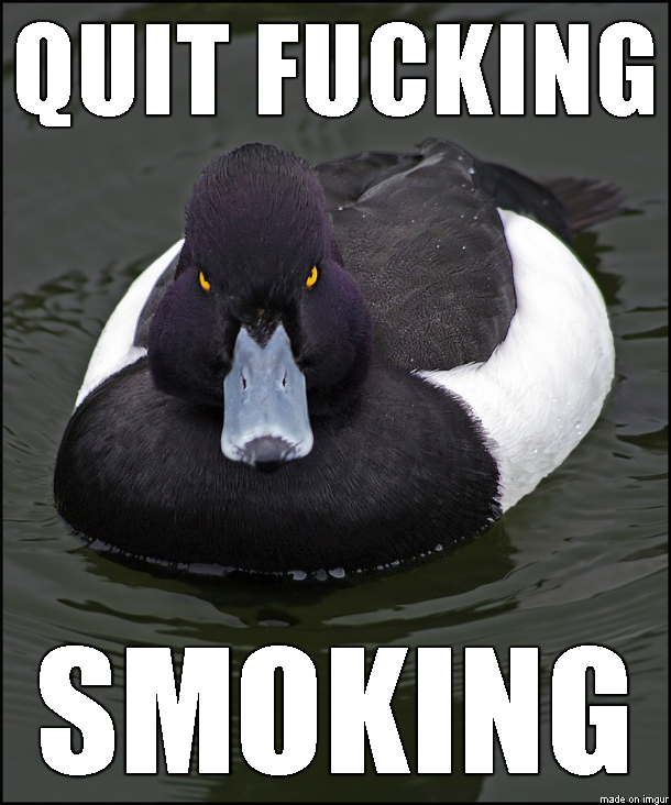 Fuck New Years get to it immediately