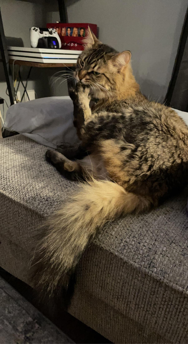 Fuck this foot in particular
