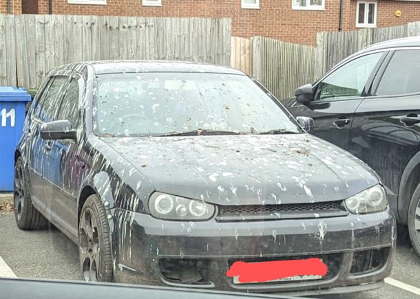 Fuck this one car in particular
