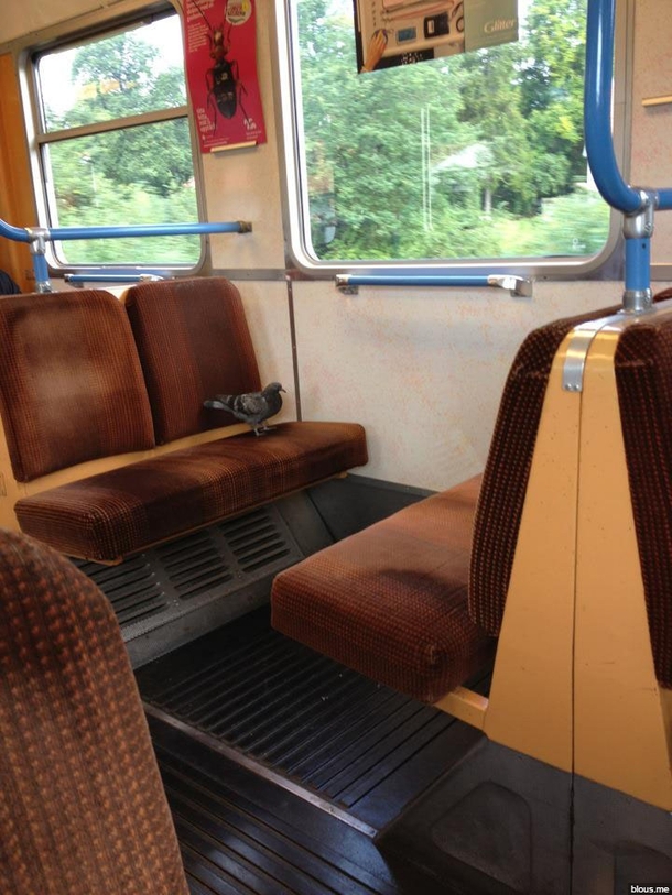 Fuck this shit Im taking the train