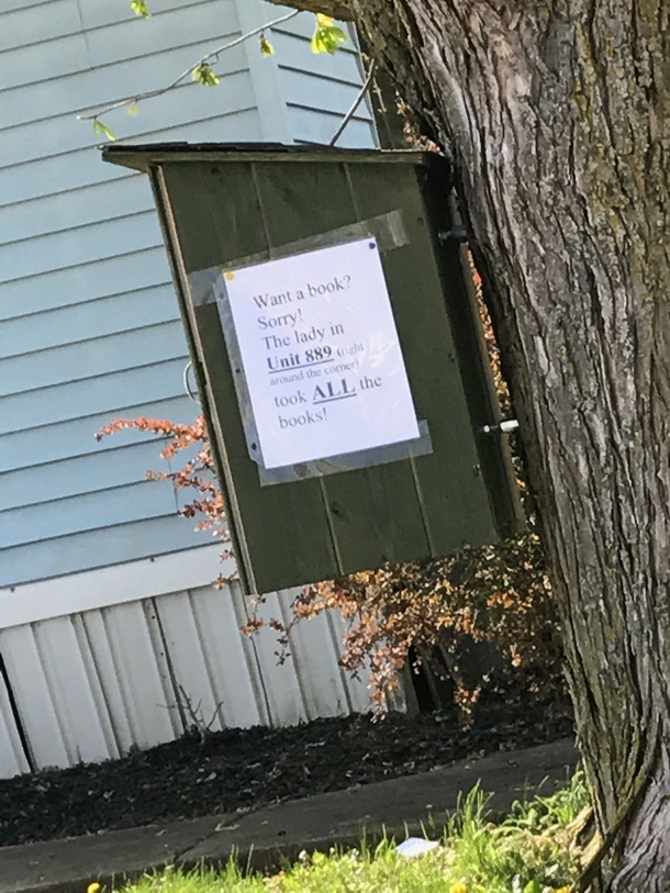 Fuck you lady in 