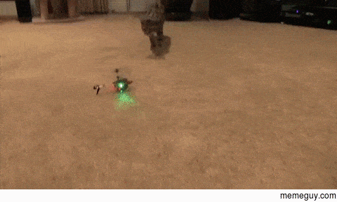 fuck your drone