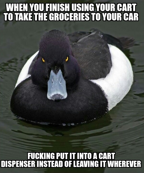 Fucking Scumbag Shoppers