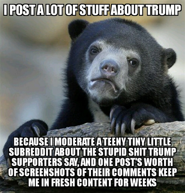 Full Disclosure Bear