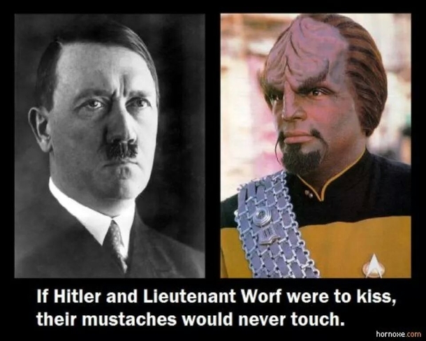 Fun fact