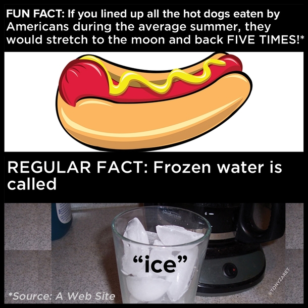 Fun Fact