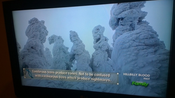 Fun Fact courtesy of Discovery