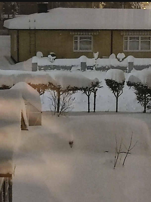 Fun game Try to find my car