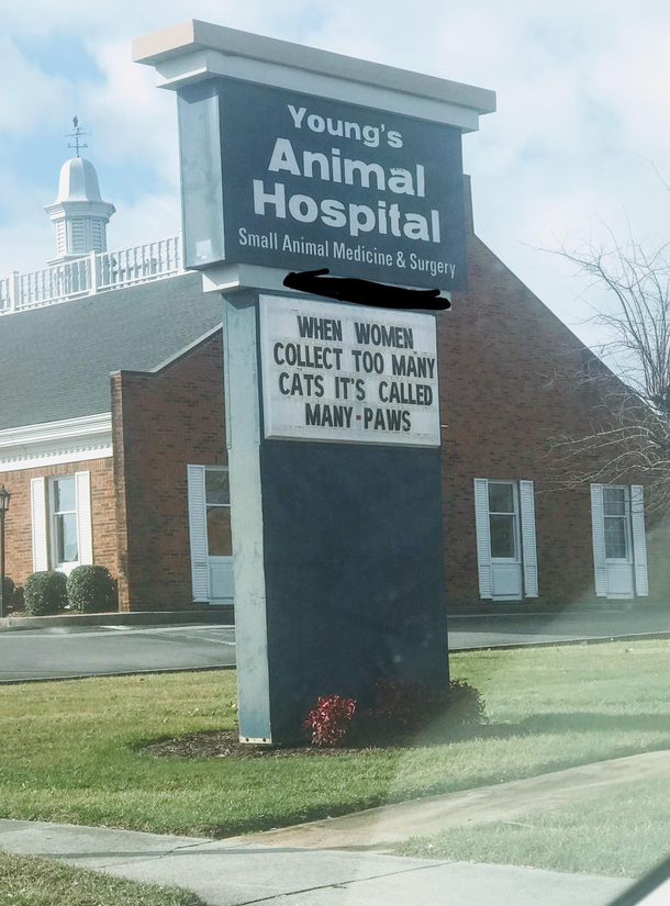 Fun pun