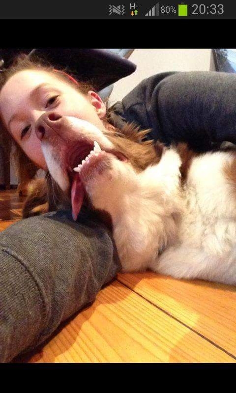 Fun with dogs