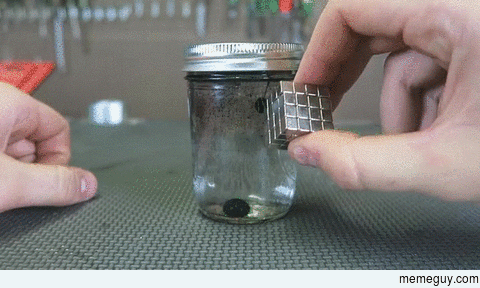 Fun with magnets and Ferrofluid