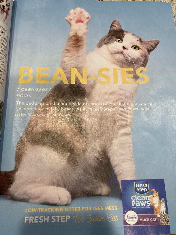 Funniest add Ive seen in a while