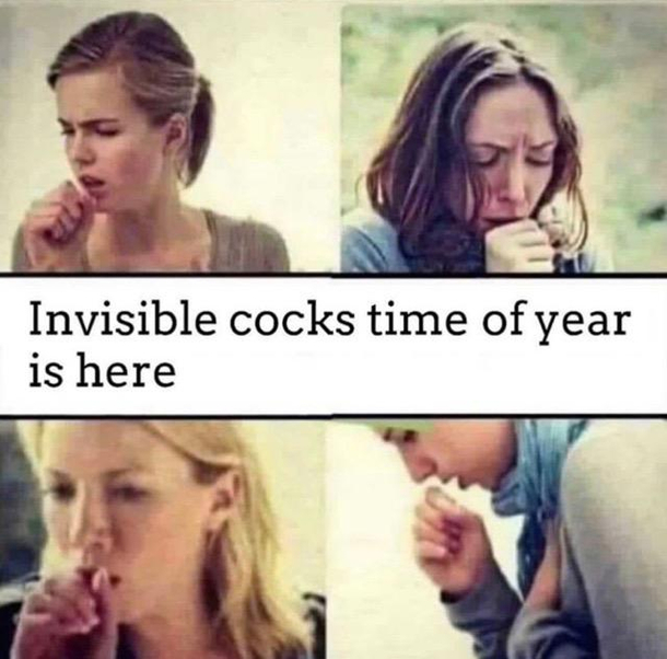 Funniest thing in days