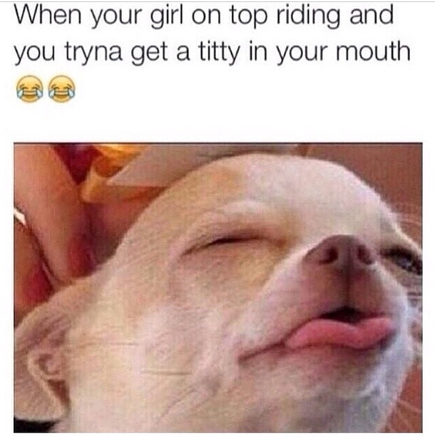 Funniest thing Ive seen in a long time