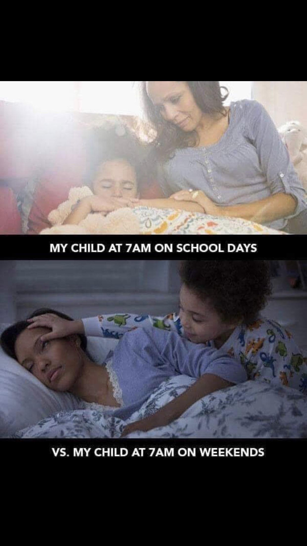 Funny but so true