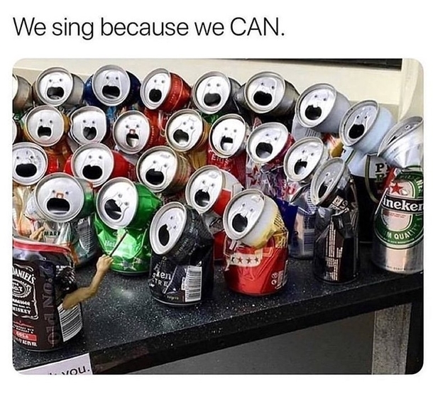 Funny choir We sing because we can