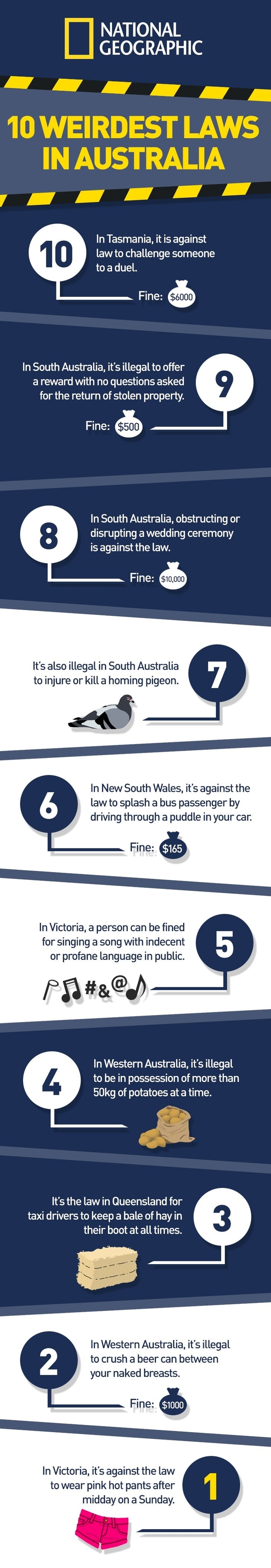 funny-laws-australias-weirdest-laws-meme-guy