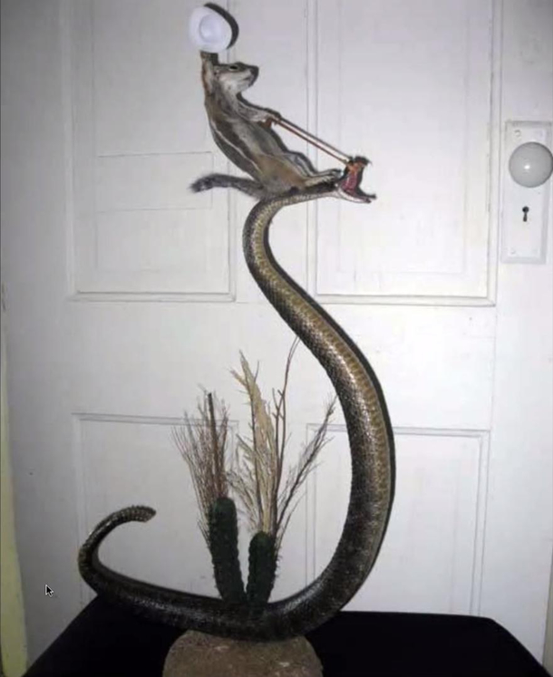 Funny picture my teacher showed us yesterday