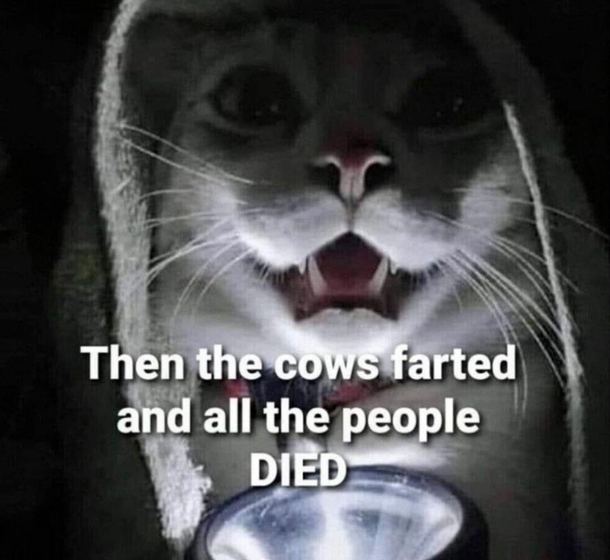 Future Cat campfire story