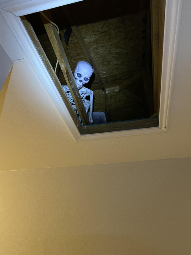 Future me is gonna have a heart attack when he opens up the attic