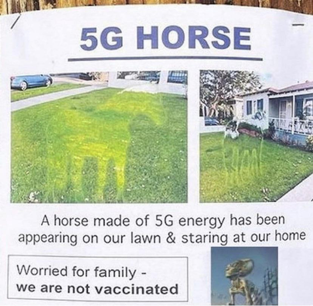 G Horse