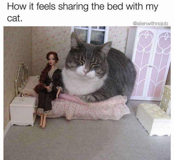 Gah move over