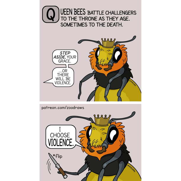 Game of Drones 
