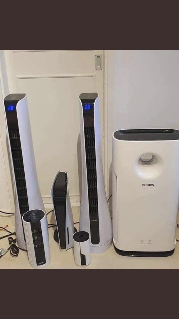 Gangs all here