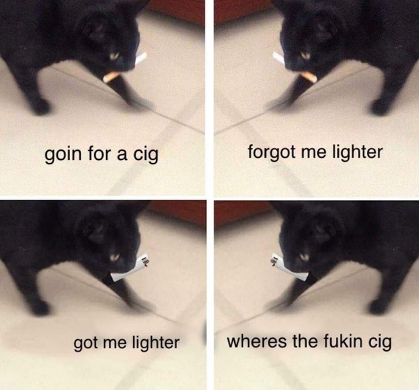 garsh darn it