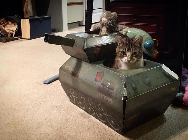 Gatsby and Best Friend ready to make the world safe Pew Pew