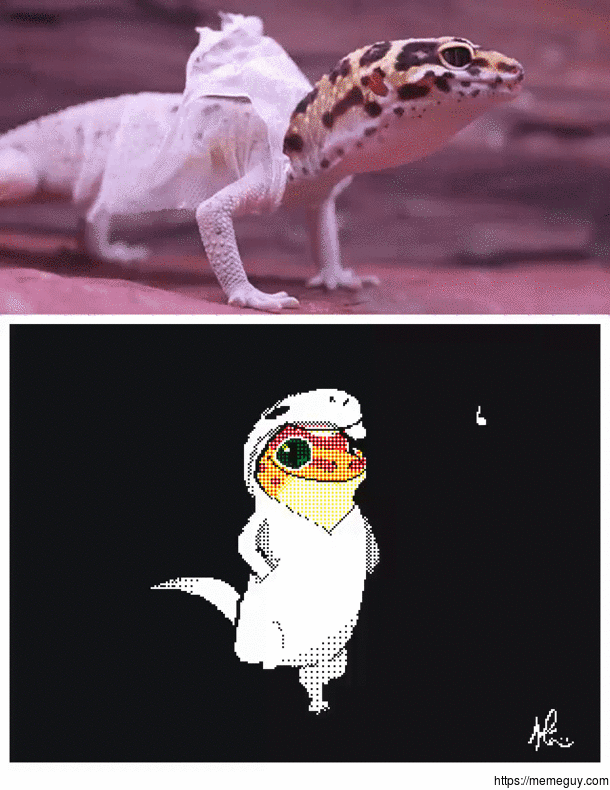 Gecko boi strollin