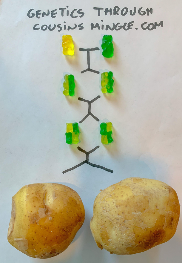 Genetics explained